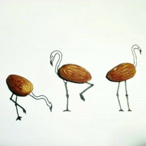 06. Almond Pelicans - Amazing Illustrations & Drawing (6)