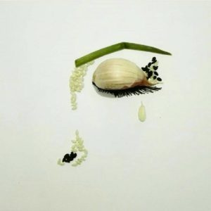 12. Garlic Snail - Amazing Illustrations & Drawing (12)
