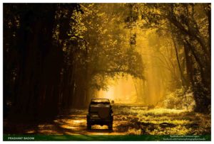 04. Corbett Tiger Reserve - Ramnagar - India Images