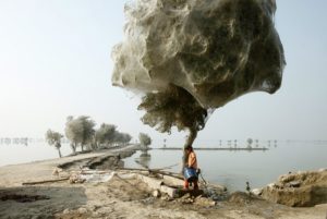 06. Trees of Spiders - Most Disturbing Pictures