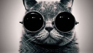 Post 004 - How to Focus and Concentrate Better (New)